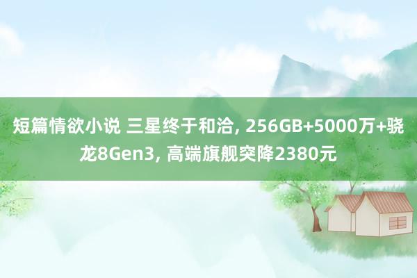 短篇情欲小说 三星终于和洽， 256GB+5000万+骁龙8Gen3， 高端旗舰突降2380元