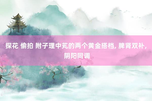 探花 偷拍 附子理中芄的两个黄金搭档， 脾肾双补， 阴阳同调