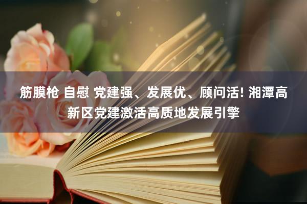 筋膜枪 自慰 党建强、发展优、顾问活! 湘潭高新区党建激活高质地发展引擎