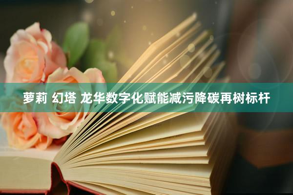 萝莉 幻塔 龙华数字化赋能减污降碳再树标杆